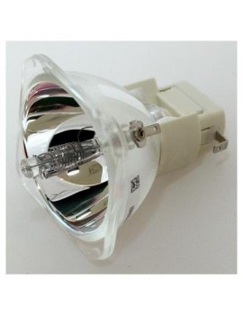 OSRAM	P-VIP 180/230W 1.0 E20.5