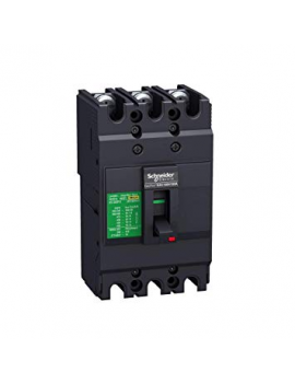 SCHNEIDER EZC100N3100